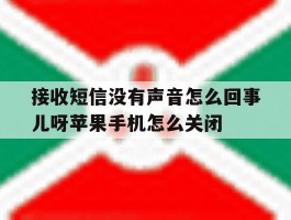 接收短信没有声音怎么回事儿呀苹果手机怎么关闭的简单介绍