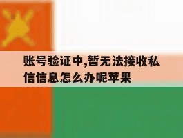 账号验证中,暂无法接收私信信息怎么办呢苹果