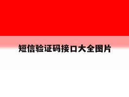 短信验证码接口大全图片