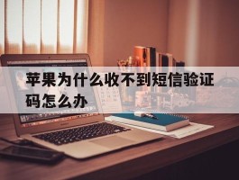 苹果为什么收不到短信验证码怎么办