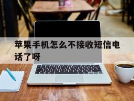苹果手机怎么不接收短信电话了呀