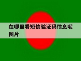 在哪里看短信验证码信息呢图片