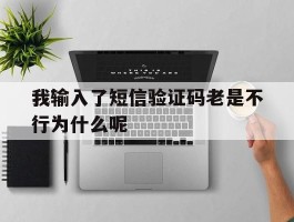 我输入了短信验证码老是不行为什么呢