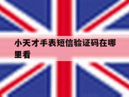 小天才手表短信验证码在哪里看