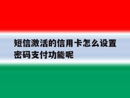 关于短信激活的信用卡怎么设置密码支付功能呢的信息