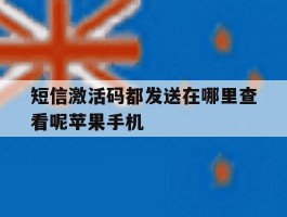关于短信激活码都发送在哪里查看呢苹果手机的信息