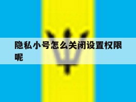 隐私小号怎么关闭设置权限呢