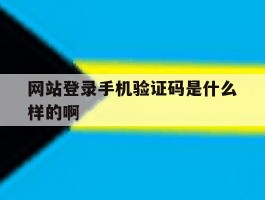 网站登录手机验证码是什么样的啊