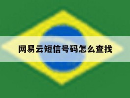 网易云短信号码怎么查找