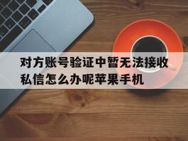 关于对方账号验证中暂无法接收私信怎么办呢苹果手机的信息