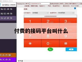 付费的接码平台叫什么