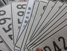 包含临时号牌会不会被拍到呢怎么查看的词条
