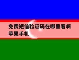 免费短信验证码在哪里看啊苹果手机