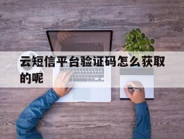 云短信平台验证码怎么获取的呢