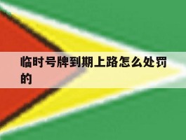 临时号牌到期上路怎么处罚的