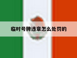 临时号牌违章怎么处罚的