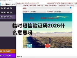 临时短信验证码2026什么意思呀