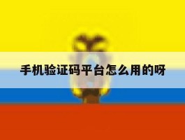 手机验证码平台怎么用的呀