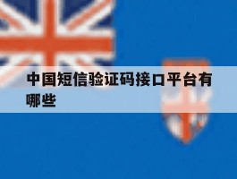 中国短信验证码接口平台有哪些
