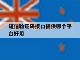 短信验证码接口提供哪个平台好用