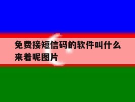免费接短信码的软件叫什么来着呢图片