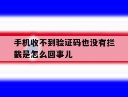 包含手机收不到验证码也没有拦截是怎么回事儿的词条