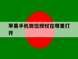 苹果手机微信授权在哪里打开