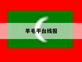 羊毛平台线报