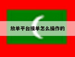 放单平台接单怎么操作的