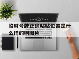 临时号牌正确粘贴位置是什么样的啊图片