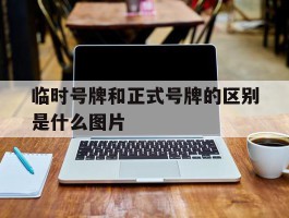 临时号牌和正式号牌的区别是什么图片