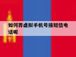 如何弄虚拟手机号接短信电话呢