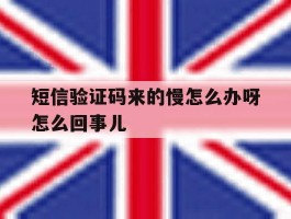 短信验证码来的慢怎么办呀怎么回事儿