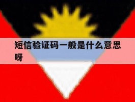 短信验证码一般是什么意思呀