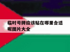 临时号牌应该贴在哪里合适呢图片大全