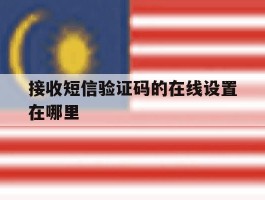 接收短信验证码的在线设置在哪里
