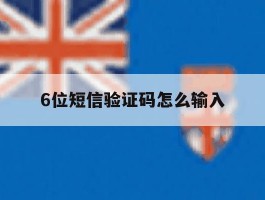 6位短信验证码怎么输入