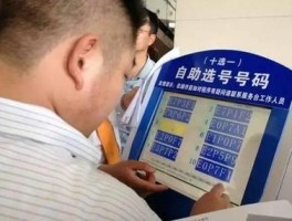 临时号牌最长多长时间办理好啊怎么查