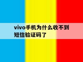 vivo手机为什么收不到短信验证码了