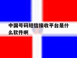 中国号码短信接收平台是什么软件啊