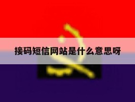接码短信网站是什么意思呀