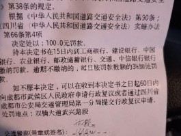 临时号牌有什么限制要求嘛
