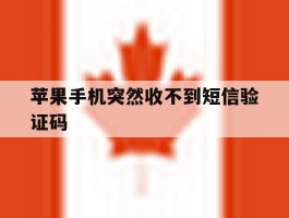 苹果手机突然收不到短信验证码