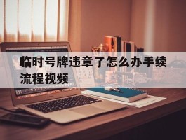临时号牌违章了怎么办手续流程视频