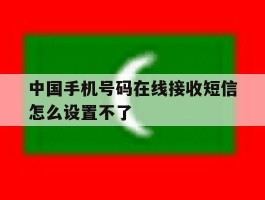 中国手机号码在线接收短信怎么设置不了