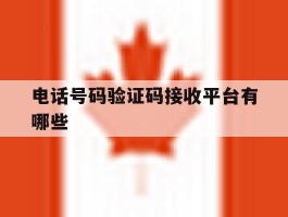 电话号码验证码接收平台有哪些