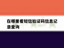 在哪里看短信验证码信息记录查询