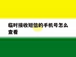 临时接收短信的手机号怎么查看