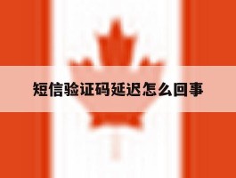 短信验证码延迟怎么回事