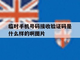 临时手机号码接收验证码是什么样的啊图片的简单介绍